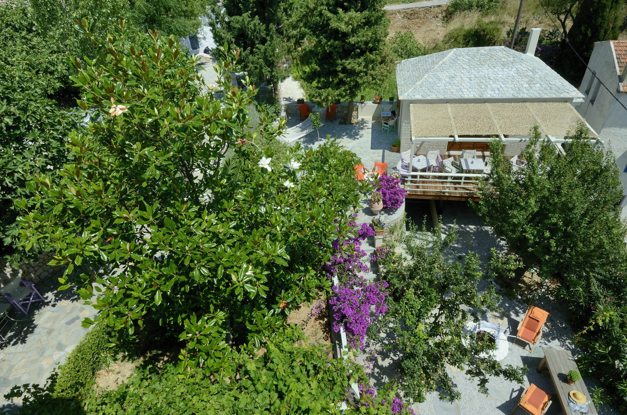 Konstantina Studios Alonnisos Town Екстер'єр фото